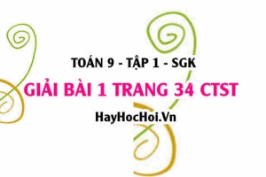 Bài 1 trang 34 Toán 9 tập 1 Chân trời sáng tạo SGK